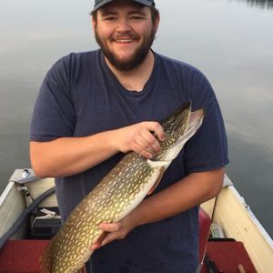 Meet your Posher, Andy